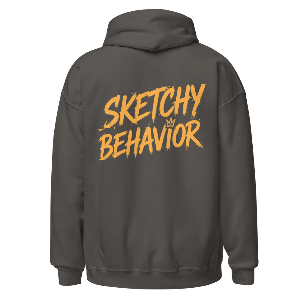 Signature Back Hoodie by Sketchy Behavior, Charcoal, back view — large antique-gold Sketchy Behavior wordmark across the back, unisex pullover hoodie