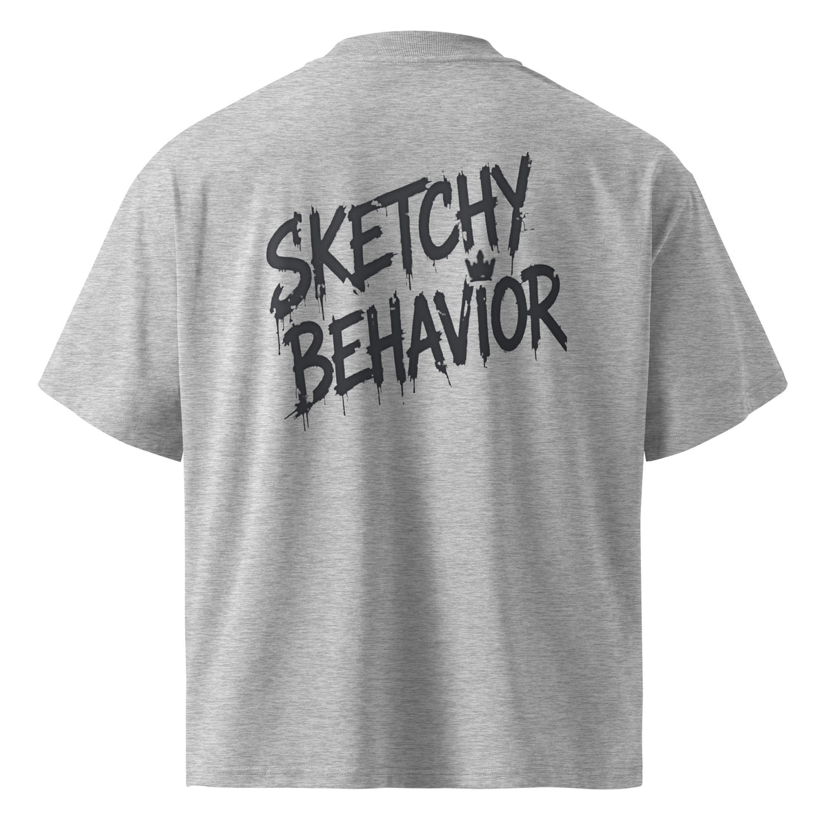 Blaster 2.0 unisex organic oversized high-neck t-shirt in Heather Grey, back view — large black "Sketchy Behavior" spray-style wordmark across the back